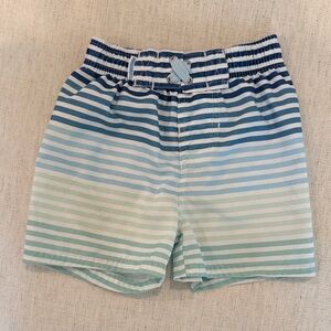 Rugged Butts coastal stripe swim trunks